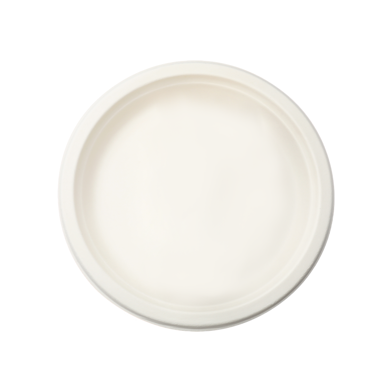 Oval Eco-amica serviens Plate