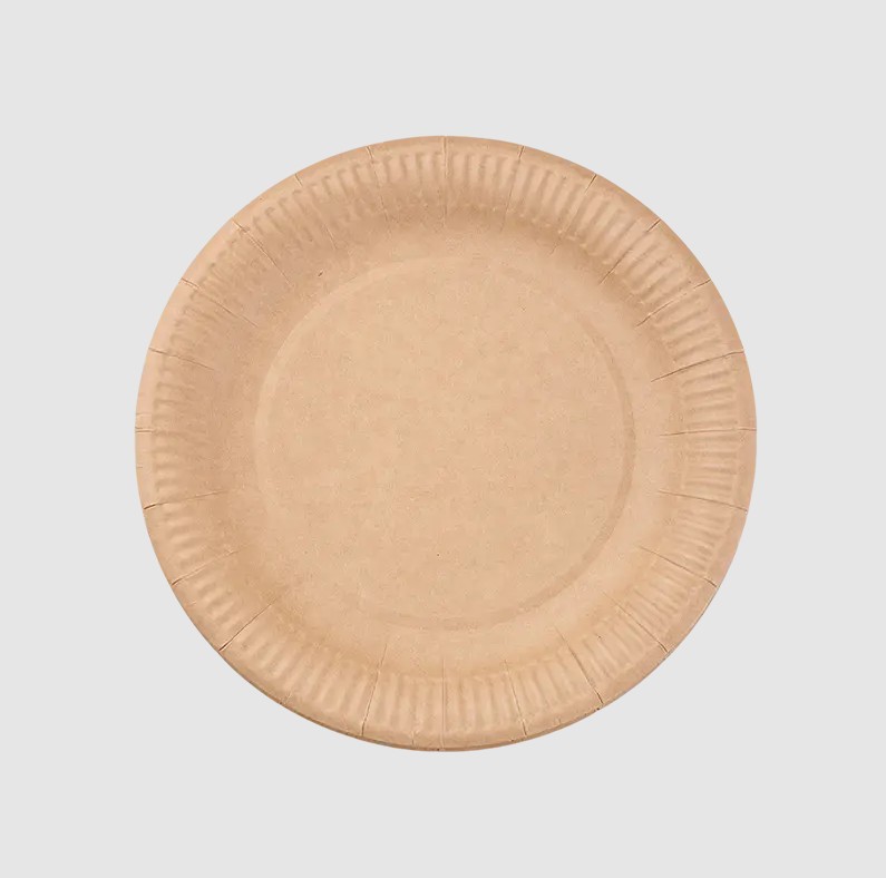 Cur Biodegradable Paper Plates Reshaping Catering Packaging?